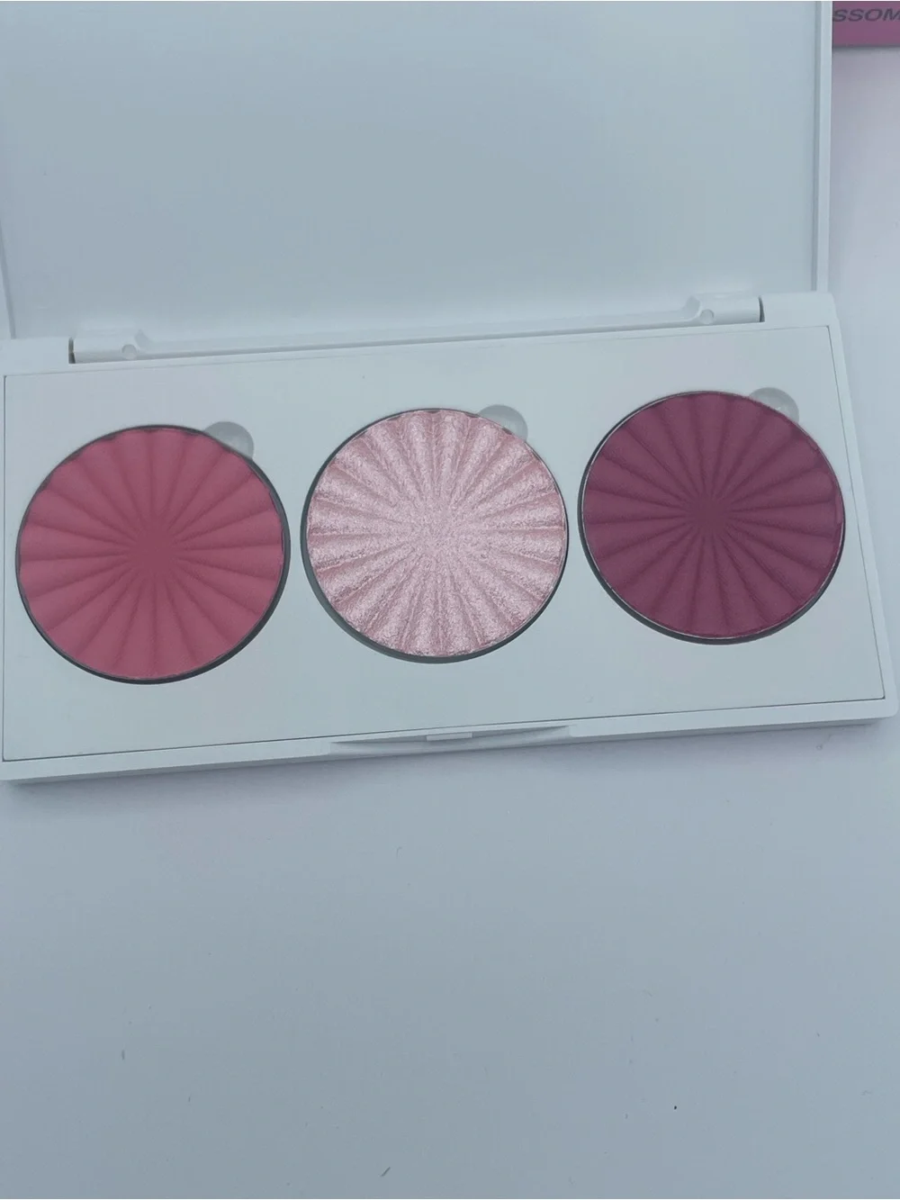 OFRA Midi Palette Blossom Blush, Smashbox Eyeliner, Brushes & Liquid Blush